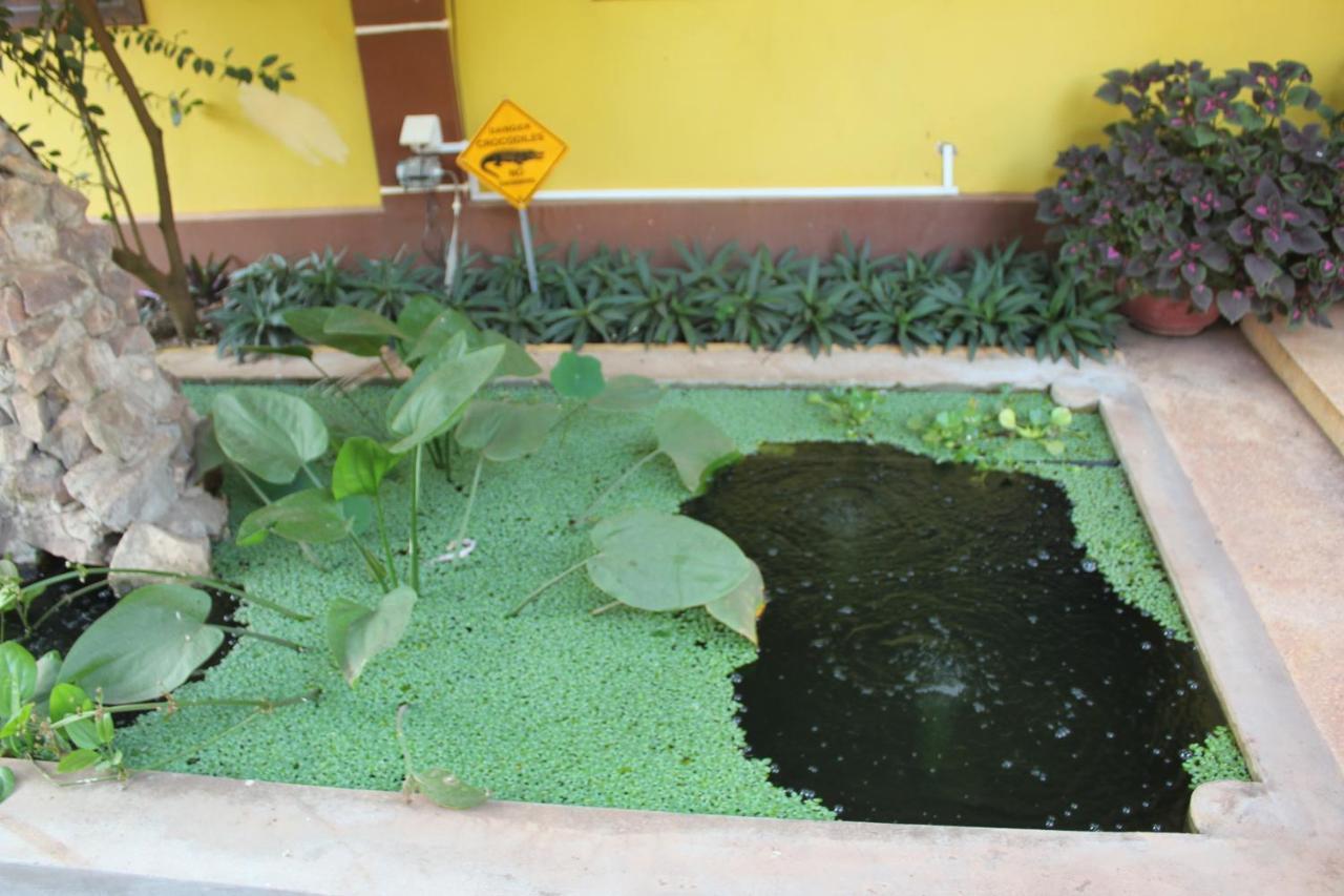 Mango Villa Siem Reap Eksteriør bilde